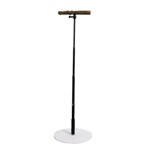 Ioensy - Soporte De Madera En T Para Entrenamiento De Loros, Percha Estable Para Pájaros Para Finch Conures Cockatiel