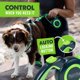 thumbnail image 3 of Correa retráctil para perros Mighty Paw 2.0, 5 m, muy resistente, reflectante, 3 of 9