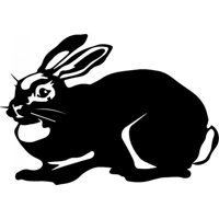 Rienda Libre Graphics - Decomural Rabbit Portrait Bunny Ws-32711