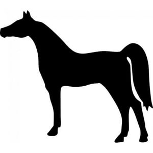 Rienda Libre Graphics - Decomural Horse Farmyard Animals Pack Ws-33067