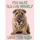 thumbnail image 1 of Tarjeta de cumpleaños Glory To Dog Shar-Pei, 1 of 6