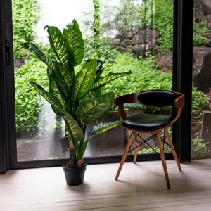 Vadell Home - Difenbaquia De 120 Cm