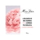 thumbnail image 3 of MISS DIOR EDT 50ML MUJER, 3 of 5