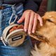 thumbnail image 4 of Bolsa de Snacks Cleverpup 1,5 L Impermeable Color Arena, 4 of 8