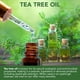 thumbnail image 3 of Gel Limpiador De Párpados Tea Tree Para Blefaritis 50 Ml, 3 of 3