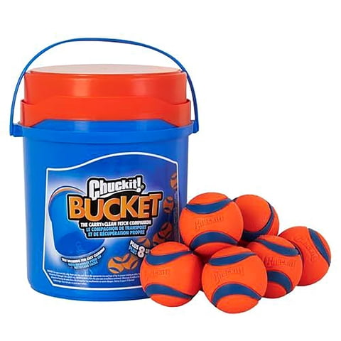 Chuckit! - Juguete Para Perros Chuckit Ultra Ball, Tamaño Mediano, 2,5 Cm, Paquete De 8 Con Balde