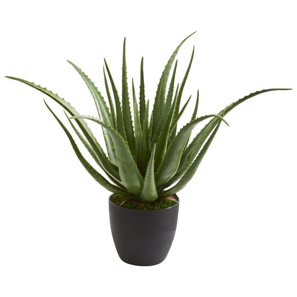 Planta artificial de aloe casi natural para uso en interiores