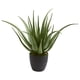 thumbnail image 1 of Planta artificial de aloe casi natural para uso en interiores, 1 of 5