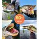 thumbnail image 2 of Alambre de acero inoxidable Scotank de Fishing Leaders, prueba de 40 libras, 2 of 6