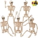 thumbnail image 1 of Para Decoración De Esqueletos De Halloween 5 Unidades 40 Cm Con Forma De Esqueleto Articulado, 1 of 8