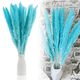 thumbnail image 1 of 30 piezas de flores secas naturales de hierba de la pampa seca, planta de junco con caja, flores reales, ramos de flores románticas para bodas, sabrosas y duraderas para decoración del hogar DIY, a ju, 1 of 5
