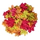 thumbnail image 2 of 200pcs hojas de arce artificial oto?o oto?o hoja boda decoración de acción de gracias, 2 of 4