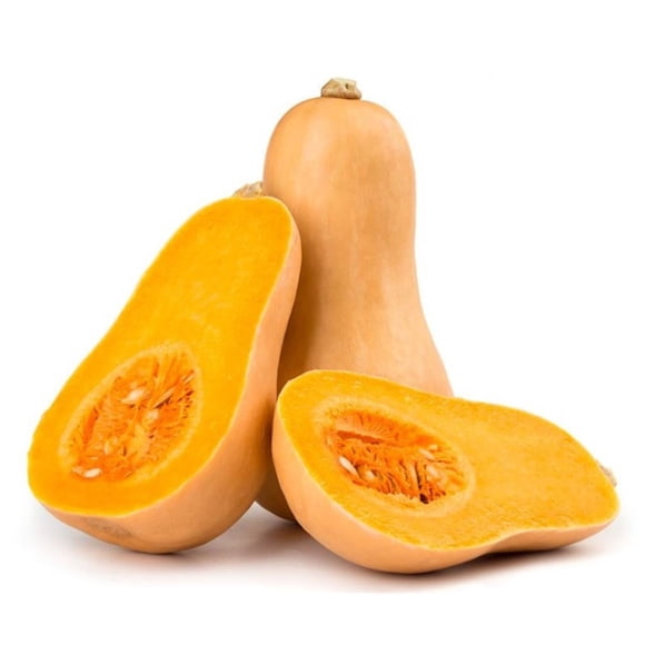Zapallo Butternut, 1 Un