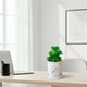 thumbnail image 4 of Planta Decorativa Good To Be Home Maceta Blanca, 4 of 4