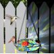 thumbnail image 2 of Comedero para colibríes Nature's Way GHF7 de vidrio soplado a mano con LED, 2 of 7