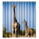 thumbnail image 1 of Cortina de ducha con hermosos paisajes naturales y jirafas, juego de cortinas de baño con ganchos, tamaño 66 x 72 pulgadas, 1 of 3