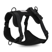 Arnés Paws Negro / S