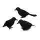thumbnail image 3 of 3 Piezas De Cuervos De Halloween, Pájaros, Cuervos De Plumas De Simulación Negra Para Fiesta De Halloween, Estilo A, 3 of 5