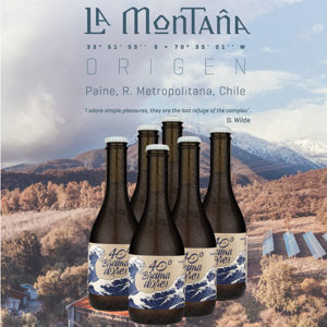 La Montaña - 6Pack 40 Bramadores