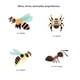 thumbnail image 3 of Primeros descubrimientos – Las casitas de los animales, 3 of 6