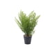 thumbnail image 1 of Helecho artificial 17 cm, 1 of 3