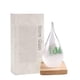 thumbnail image 1 of Botella de Predicción Meteorológica Storm Glass Enkrio Mediana, 1 of 7