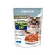 thumbnail image 1 of Sobres de Alimento Húmedo Master Cat Senior 20 un., 1 of 4