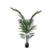 thumbnail image 1 of Planta Decorativa Palmera Areca 120 cm, 1 of 2