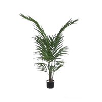 Corel - Planta Decorativa Palmera Areca 120 Cm