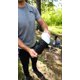 thumbnail image 5 of Mosquitera rectangular Coghlan's Hiker's Camping 83 x 57 x 73 cm, 5 of 8