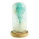 thumbnail image 1 of Lámpara De Techo De Cristal De Flores Secas Lámpara De Mesa De Cadena De Luces De Noche Verde, 1 of 3