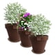 thumbnail image 1 of Set de 3 Maceta Kony 24cm Morena Natural y sus platos, 1 of 3