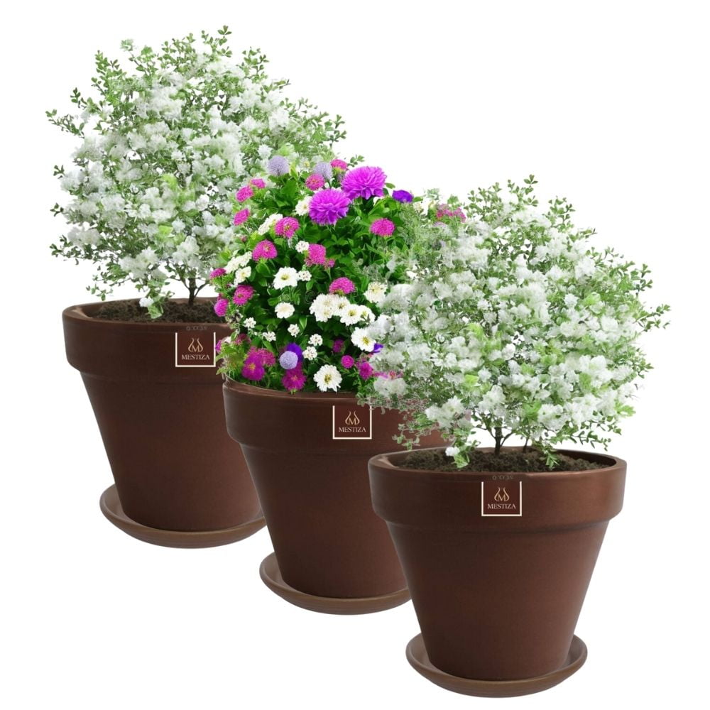 Mestiza - Set De 3 Maceta Kony 24cm Morena Natural Y Sus Platos