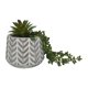 thumbnail image 3 of Planta Artificial suculenta colgante, 3 of 4