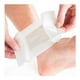 thumbnail image 3 of Set 4 Parches Kinoki Natural Relaja Pies Desintoxicación Lau, 3 of 3