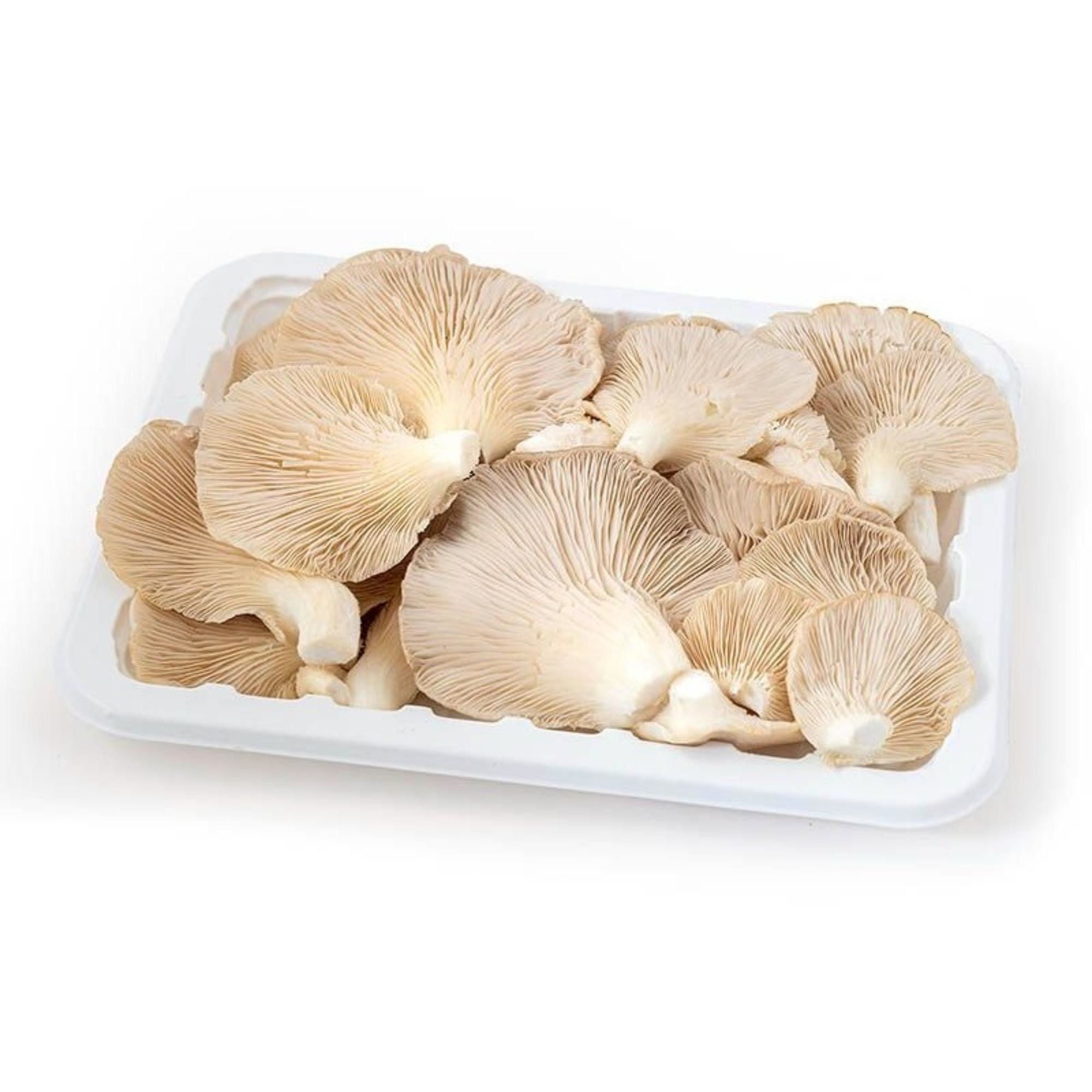 Champiñones Ostra Bandeja 200 g