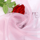 thumbnail image 1 of Tela de Organza Rosa Claro Suxumhao 39x59", 1 of 3