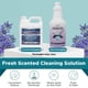 thumbnail image 2 of Solución limpiadora Steam & Go, agua desmineralizada, 960 ml, 2 of 6