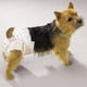 thumbnail image 4 of Pañales para Perros ClearQuest Mini Desechables Cintura 18-30 cm (hasta 1.8 kg), 4 of 4