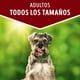 thumbnail image 3 of Sachet Dog Chow Adulto Cordero 20 Un., 3 of 8