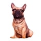 thumbnail image 3 of 2 Cojines De Almohada De Felpa Con Dise?o De Perro Y Animales, Lavables, 3 of 3
