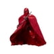thumbnail image 1 of Figura de juguete STAR WARS Emperor's Royal Guard, 15 cm, coleccionable, 1 of 7