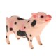 thumbnail image 4 of Simulación De Varios Animales Modelo Estatuilla Juguete Educativo Decoración Del Hogar Flor Cerdo, 4 of 5