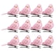 thumbnail image 2 of 12pcs mini pájaros decorativos artificiales de la espuma de bling para el rosa de los artes, 2 of 5