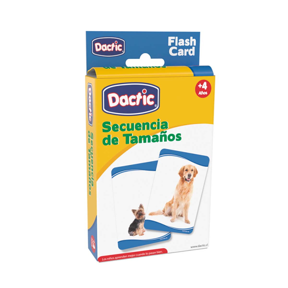 Láminas Didácticas, Flash Card Secuencia De Tamaños. Dactic