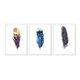 thumbnail image 1 of Set de Cuadros Abstracto Plumas Multicolor con Marco Blanco, 1 of 1