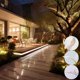 thumbnail image 4 of Tira LED BENLUN 20 m Impermeable COB 24 V 160 W, 4 of 7