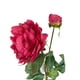 thumbnail image 2 of Peonia Roja Con Boton 57cm, 2 of 3