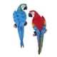thumbnail image 2 of 2x Pájaro De Resina De Loro Realista Animal 31cm Mirada Azul A La Derecha + Mirada Roja A La Izquierda, 2 of 5