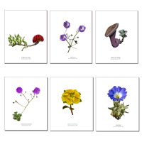 Andes1 - Set De Láminas Flores N°2